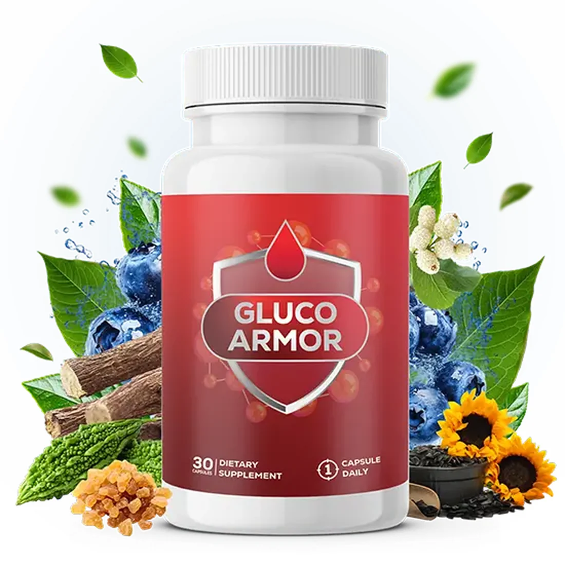 Gluco Armor blood sugar support supplement — 30 capsules, one capsule daily